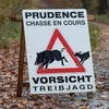 Afrikanesch Schwéngspescht: De Risiko ass weider grouss
