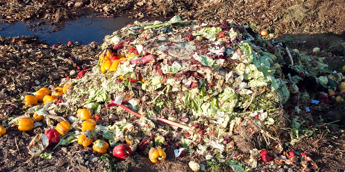 122 Kilogramm Liewensmëttel gi pro Joer pro Persoun ewechgehäit 