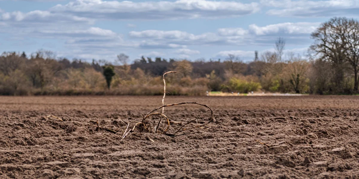 Observatoire vun der Klimapolitik: Lëtzebuerger si gutt iwwer de Klimawandel informéiert | © picture alliance/dpa | Markus Scholz