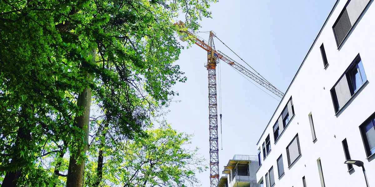 Naturzerstéierung: Staat a Gemenge kréie méi Zäit fir Kompensatiouns-Mesuren ëmzesetzen | © Kristina Kutleša / Unsplash