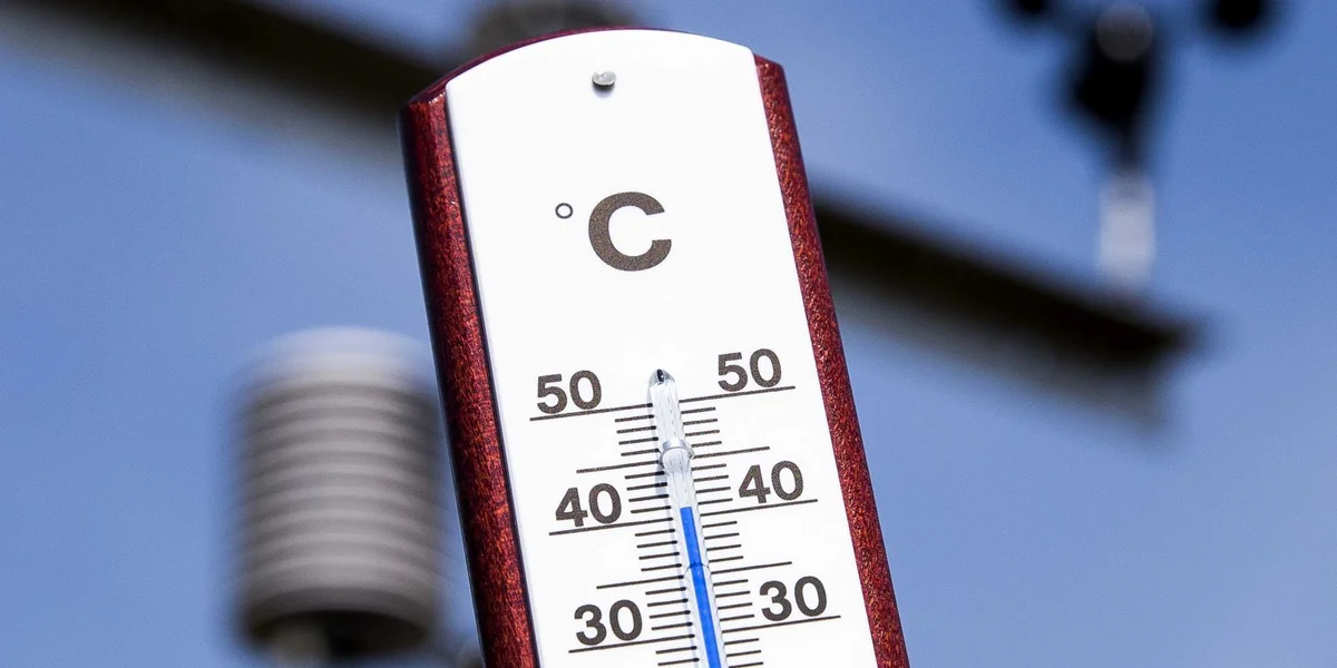 Grouss Etüd ënnersicht Hëtzt als Doudesursaach | © EPA/Vincent Jannink