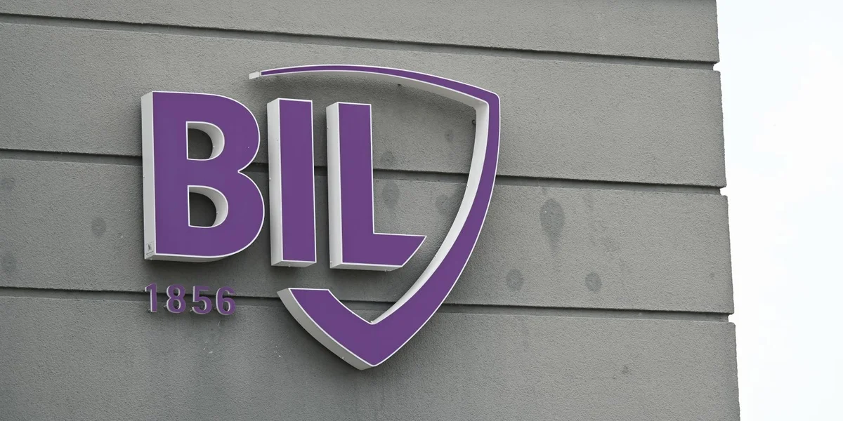 Grupp vun Affer hëlt sech een Affekot | © picture alliance / dpa | Horst Galuschka