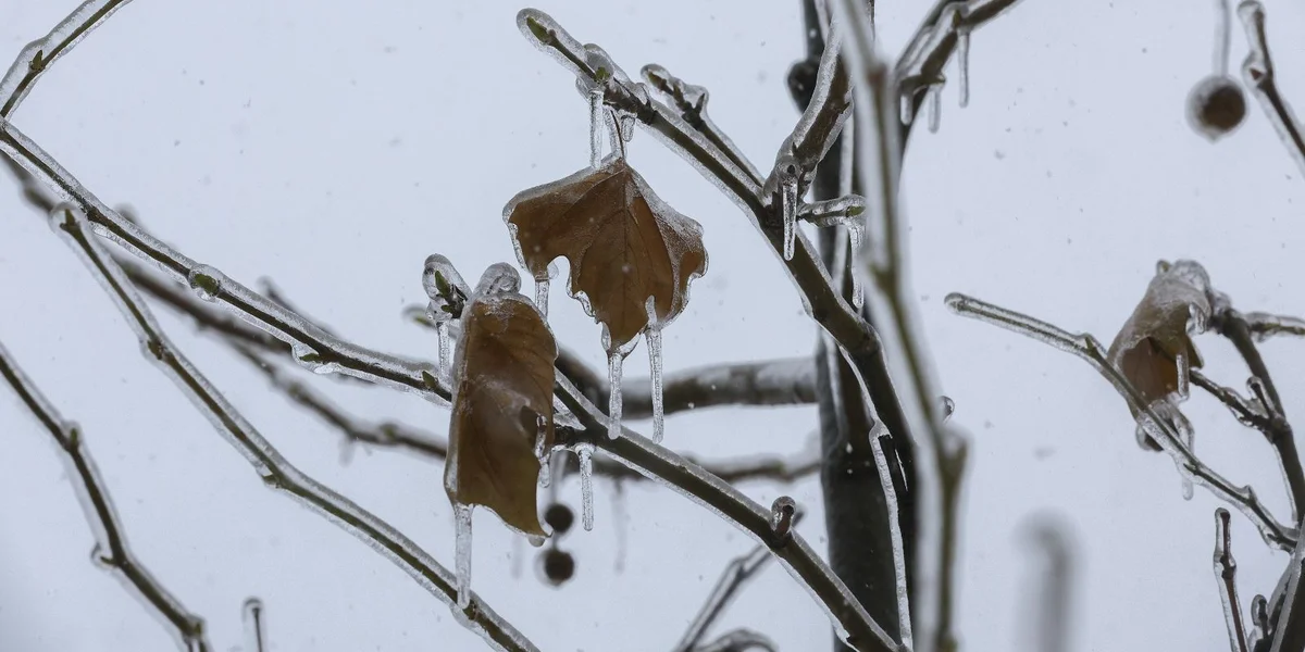 Risiko fir Glëtz haut de Moien | © EPA/SERGEY DOLZHENKO