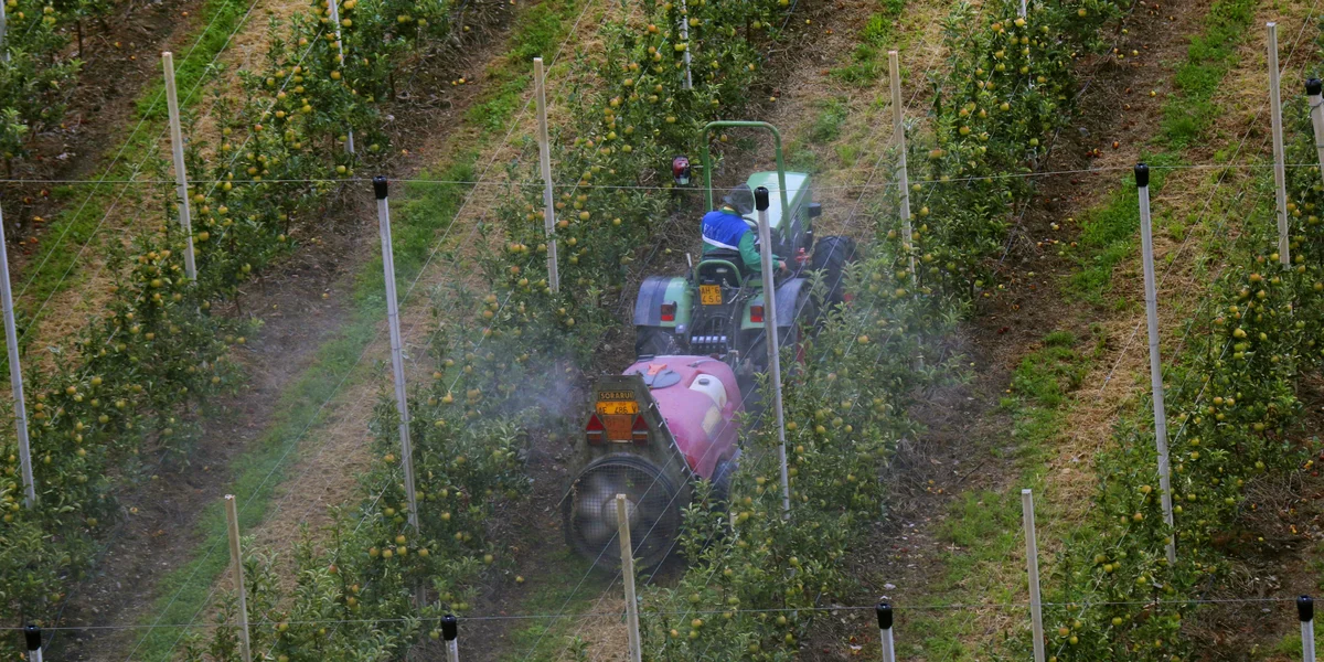DP wërft d'Fro op: Ginn et Réckstänn vu Pestiziden am Lëtzebuerger Äppeljus? | © picture alliance / blickwinkel/M. Henning | M. Henning