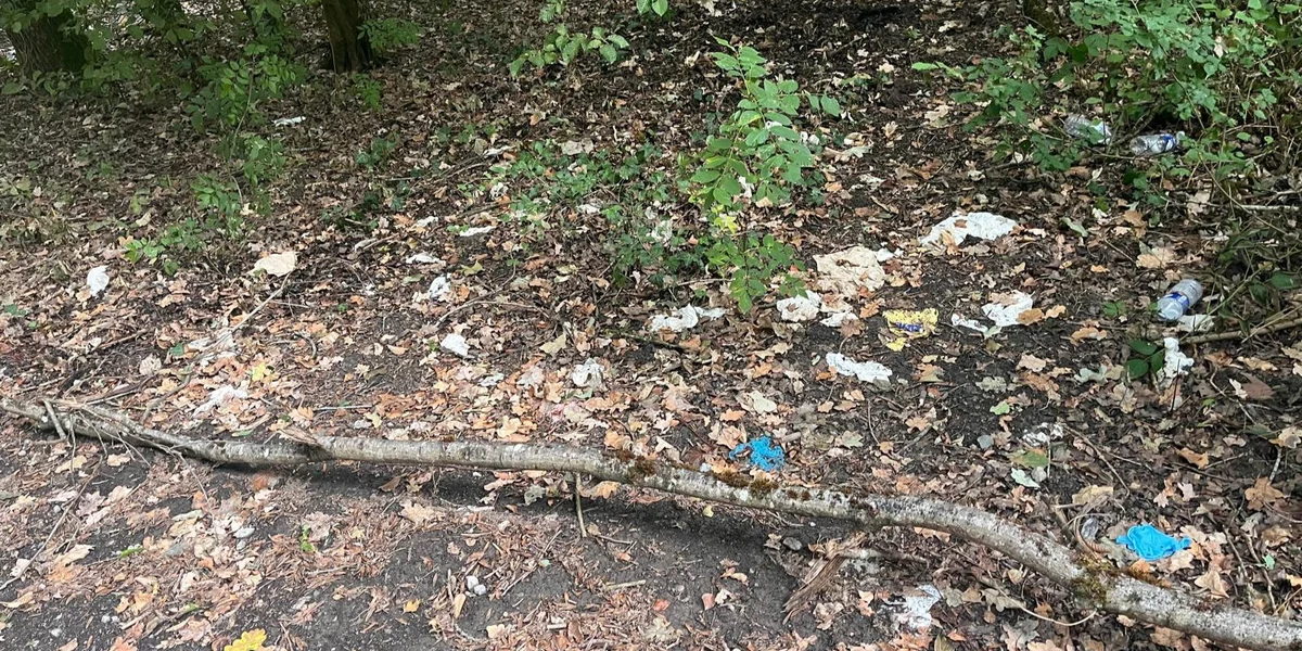 Illegal Wëllt-Campen op der Kockelscheier | © 100,7