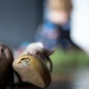 Etüd vum Liser: Alimenter si kruzial fir der Aarmut ze entkommen