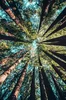 Global Justice Report: eng schéi Zukunft fir jidfereen | © Unsplash