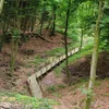 Neie Pad: Um Widdebierg kann een d'Natur iwwer dem Trëppele kenneléieren | © ANF - Pépinière domaniale de Flaxweiler