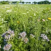 Biodiversitéit: Vill schlecht, an e puer gutt Noriichten | © Bigstock